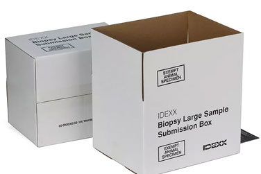 One-Stop Packaging Solution